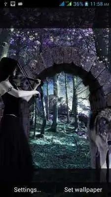 Play Fantasy Fiction Live Pictures