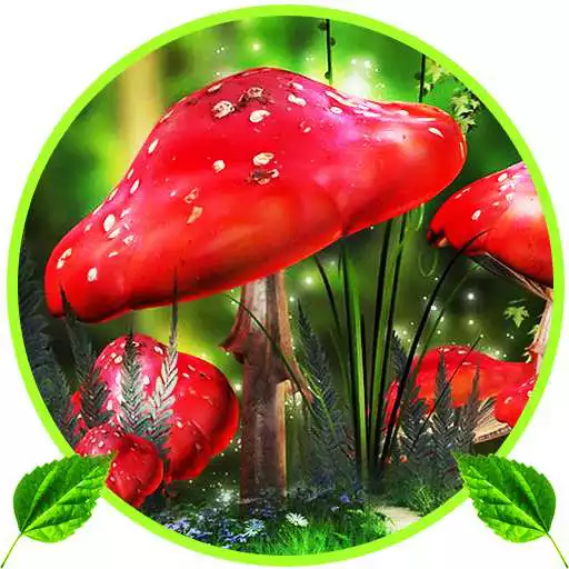 Free play online Fantasy Magic touch Touch Live Wallpapers APK Free play online Fantasy Magic touch Touch Live Wallpapers APK