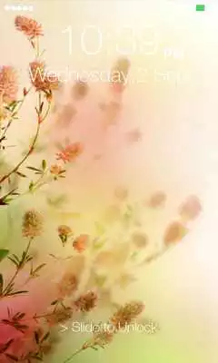 Play Fantasy Pin Screen Lock