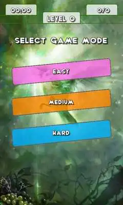 Play Fantasy Princess Puzzle