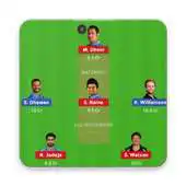 Free play online Fantasy Teams for Dream11  Halaplay APK