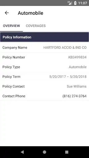 Play Faribo Insurance as an online game Faribo Insurance with UptoPlay