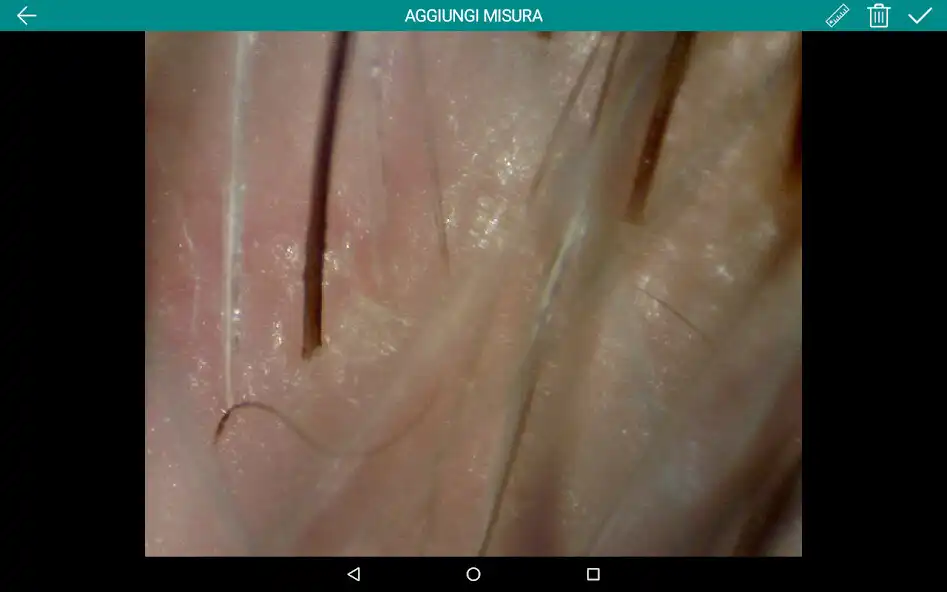 Play FARMACATRICO as an online game FARMACATRICO with UptoPlay