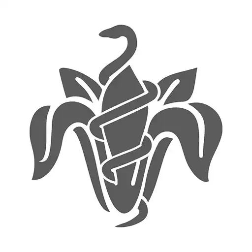 Play Farmacia Fiorentini APK