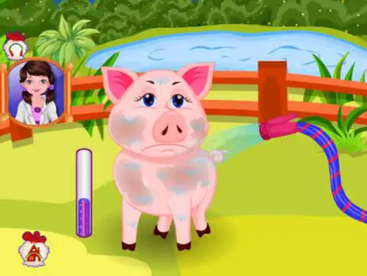 Play Farm Baby Doctor