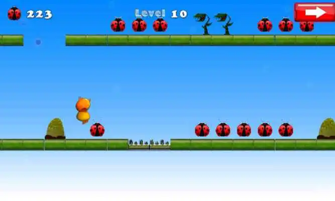 Play Farm Bird Run