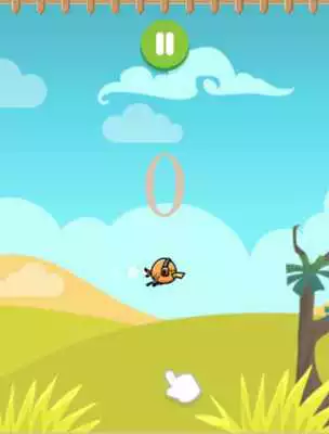 Play Farm Birds Super Heroes