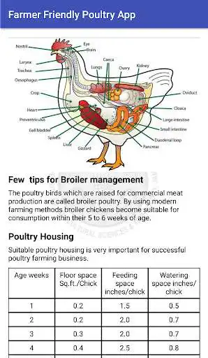 Play Farmer Friendly poultry app  and enjoy Farmer Friendly poultry app with UptoPlay