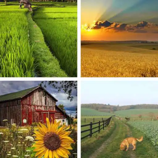 Play Farming HD Wallpapers APK Play Farming HD Wallpapers APK
