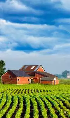 Play Farm Jigsaw Puzzle Free Game