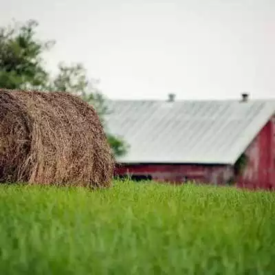 Play Farm Jigsaw Puzzle Free Game