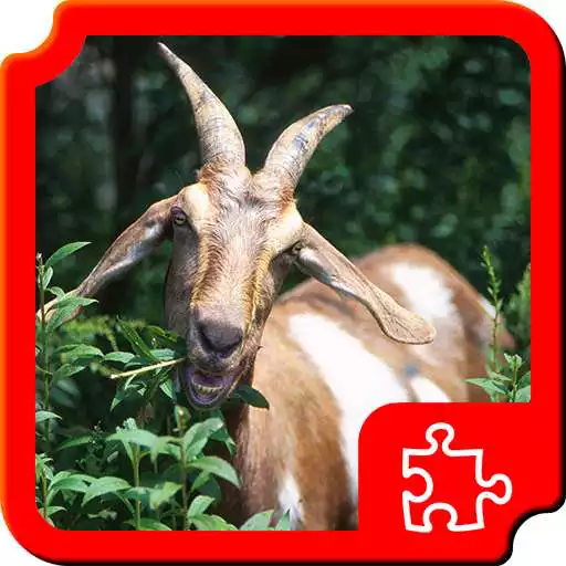 Free play online Farm Puzzles APK Free play online Farm Puzzles APK