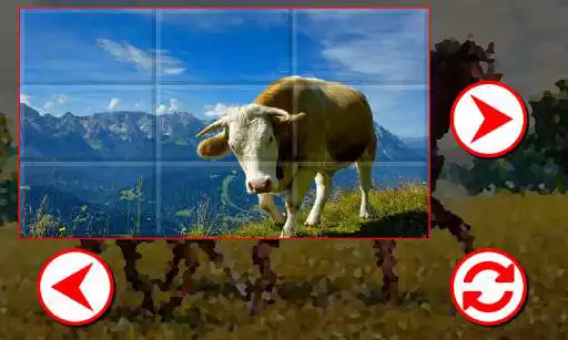 Play Farm Puzzles