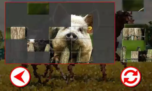 Play Farm Puzzles