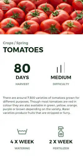 Play Farm The City as an online game Farm The City with UptoPlay