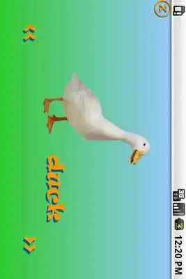 Play Farmyard ABC