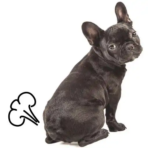 Play Fart App (Rate your farts) APK Play Fart App (Rate your farts) APK