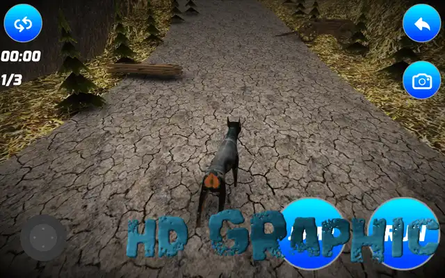 Play Fast Doberman Simulator