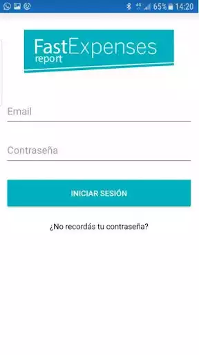 Play Fast Expenses Report