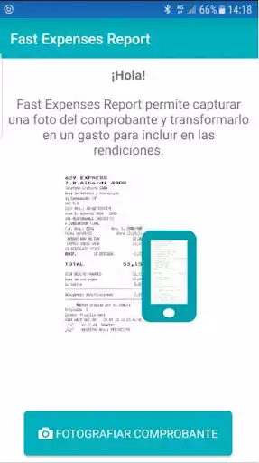 Play Fast Expenses Report