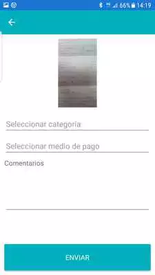 Play Fast Expenses Report