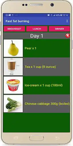 Play Fast Fat Burning Diet Plan as an online game Fast Fat Burning Diet Plan with UptoPlay