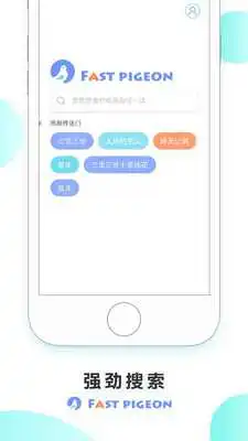 Play Fast Pigeon VPN