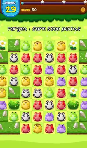 Play Fat Animals - Free Puzzle Game