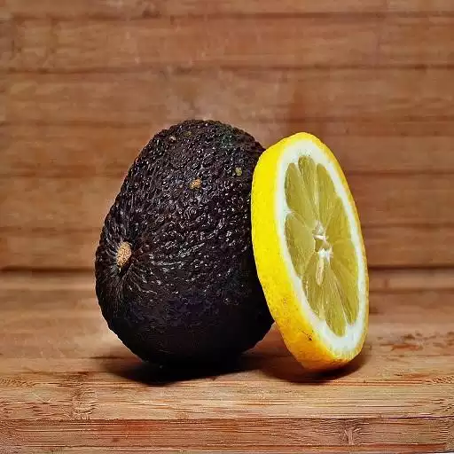 Play Fat Burning Foods APK Play Fat Burning Foods APK