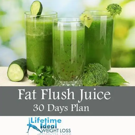 Free play online Fat Burning Juice-30 Days Plan APK Free play online Fat Burning Juice-30 Days Plan APK