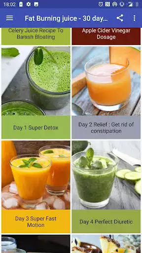 Play Fat Burning Juice-30 Days Plan