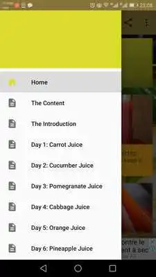 Play Fat Burning Juice-30 Days Plan