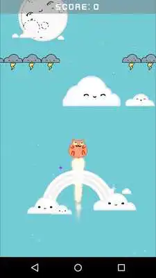 Play Fat Cat Flying