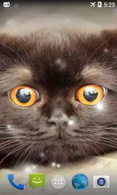 Play Fat Cat Live Wallpaper