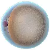 Free play online Fat Cell 3D APK Free play online Fat Cell 3D APK