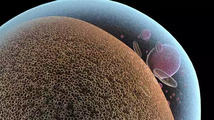 Play Fat Cell 3D