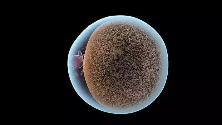 Play Fat Cell 3D