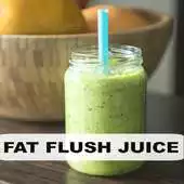 Free play online Fat Flush Juice APK