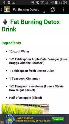 Play Fat Flush Juice