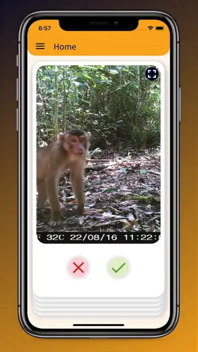 Play Faunawatch Citizen Science  and enjoy Faunawatch Citizen Science with UptoPlay