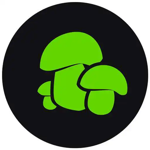 Play Faundez Gourmet APK Play Faundez Gourmet APK