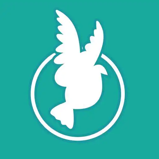 Free play online FBC Summerfield APK