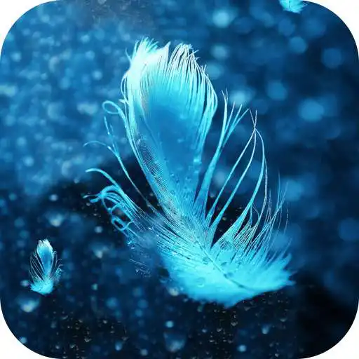 Play Feather Bubble Live Wallpaper APK Play Feather Bubble Live Wallpaper APK
