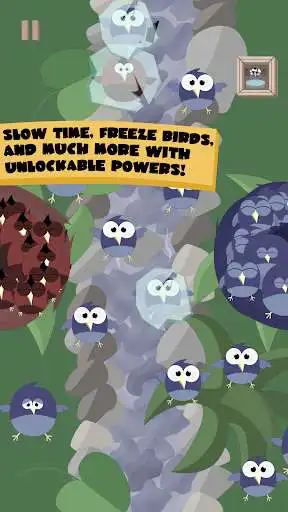 Play Feather Frenzy