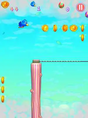 Play Feather Frenzy