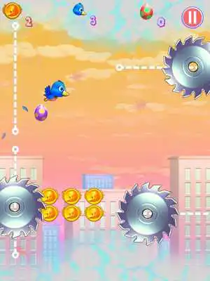 Play Feather Frenzy