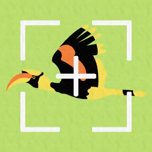 Play Feather Portrait APK Play Feather Portrait APK