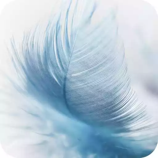 Play Feather Wallpaper HD APK