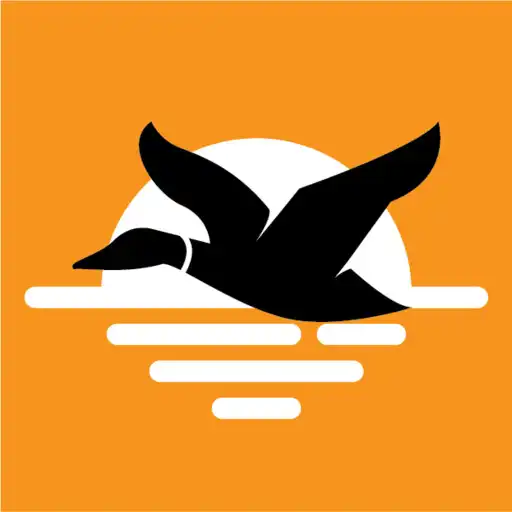 Play Feather Weather APK Play Feather Weather APK