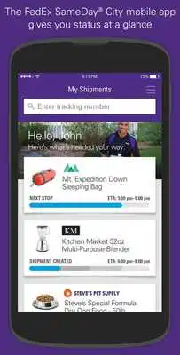 Play FedEx SameDay City